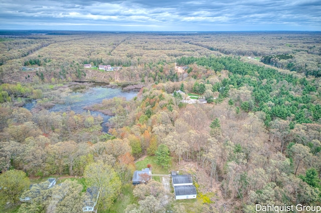 drone / aerial view of a forest