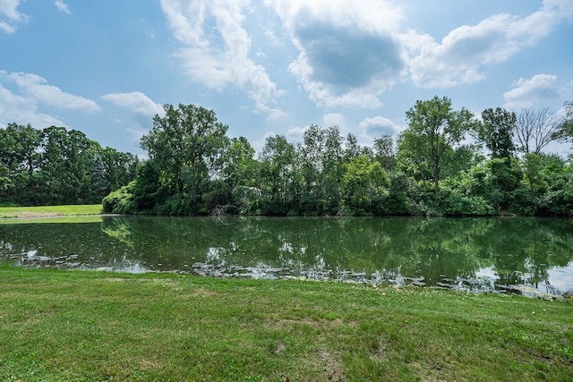 318 Arlington Dr, Rochester Hills, MI 48307 - water view