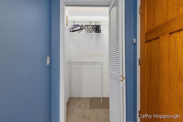 view of closet