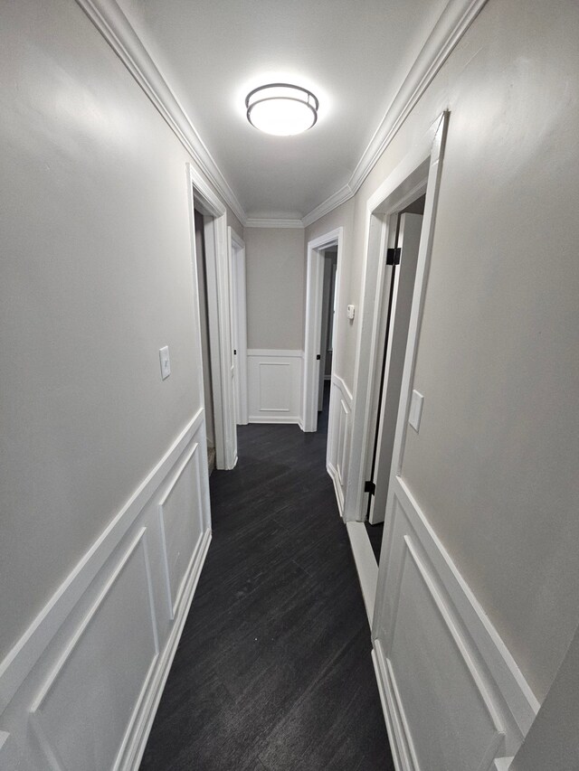 corridor featuring a decorative wall, ornamental molding, wainscoting, and dark wood finished floors