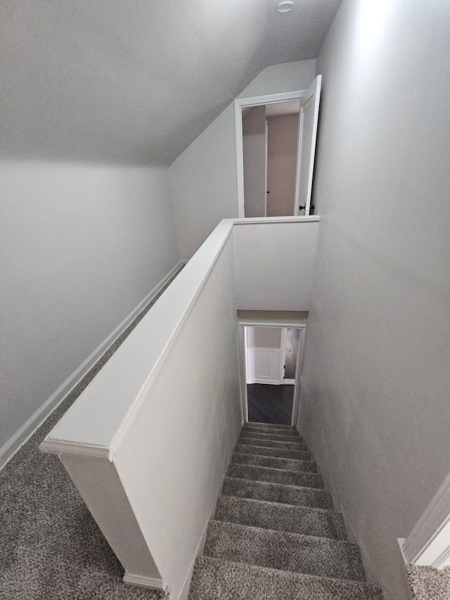 staircase with carpet floors and vaulted ceiling