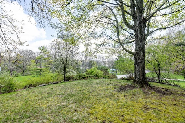 view of green lawn