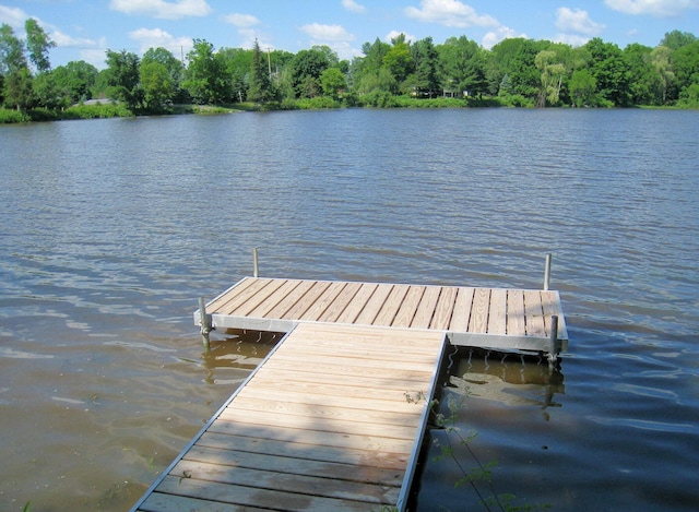 dock featuring a water view