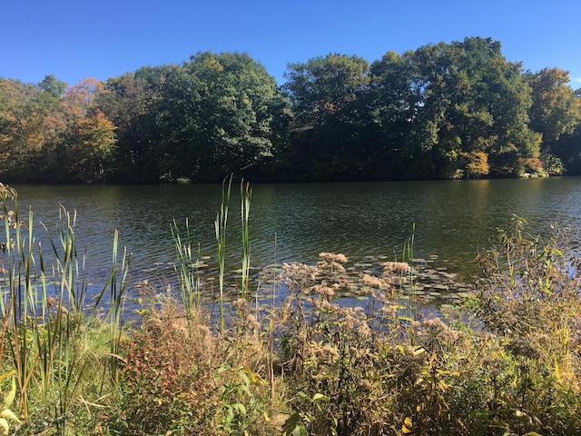 water view with a heavily wooded area