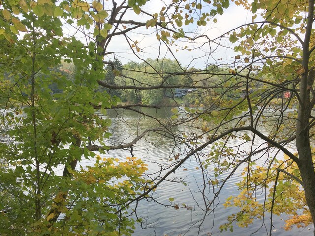 water view