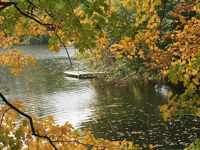water view with a dock