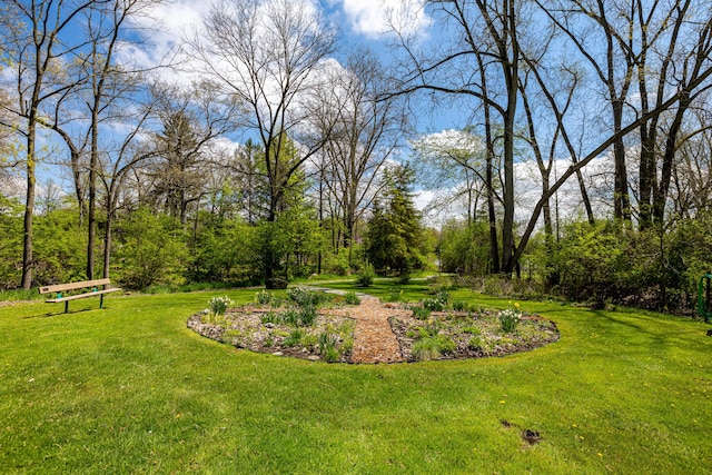 view of grassy yard