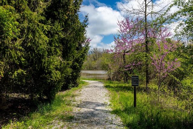 view of street featuring a forest view