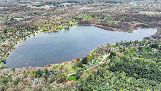 347 Lou Alice Dr, Columbiaville, MI 48421 - aerial view of property and surrounding area with a nearby body of water and a forest