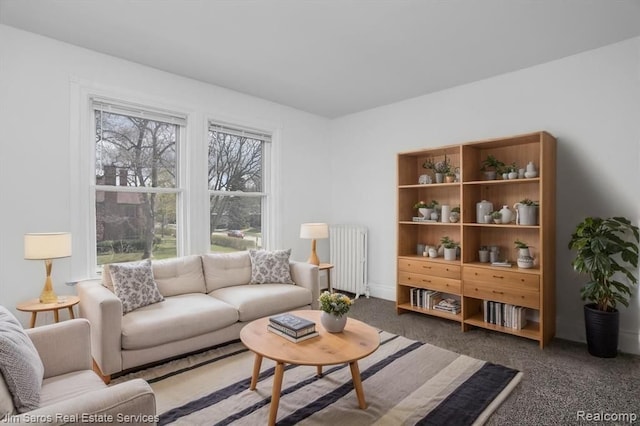 475 Saint Clair St, Grosse Pointe, MI 48230 - carpeted living room with radiator heating unit
