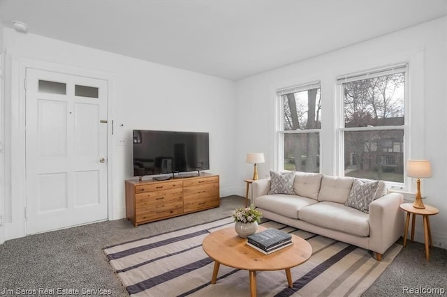 475 Saint Clair St, Grosse Pointe, MI 48230 - view of carpeted living area