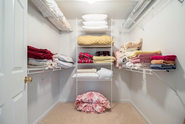 walk in closet with carpet flooring