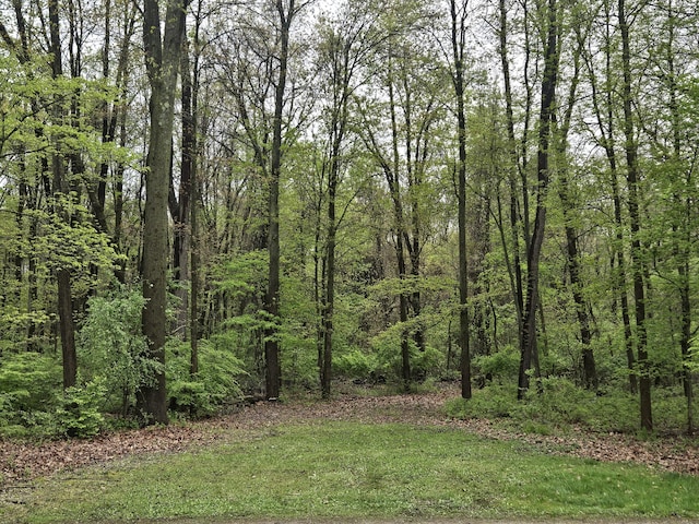 2792 Cozy Cv, Grass Lake, MI 49240 - photo 42