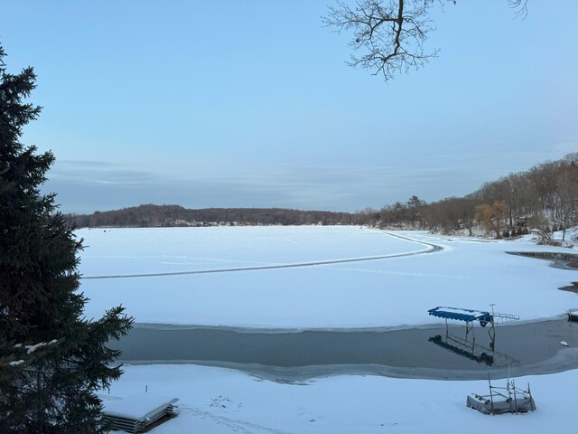 2792 Cozy Cv, Grass Lake, MI 49240 - photo 44