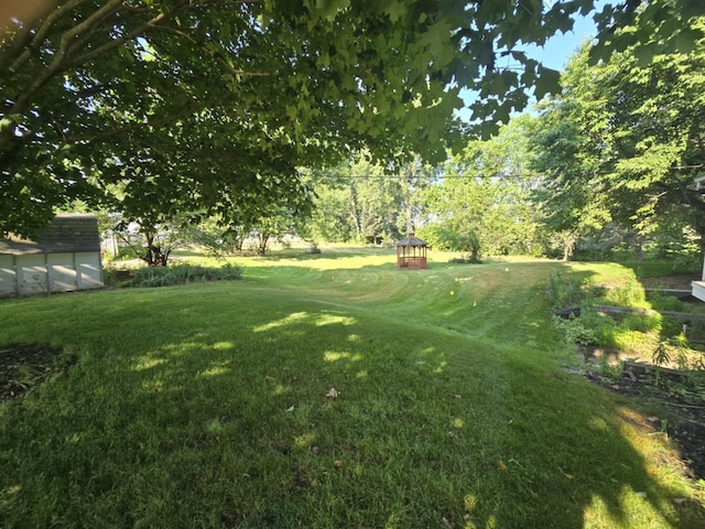 4618 New Holland St, Hudsonville, MI 49426 - view of green lawn with a storage shed