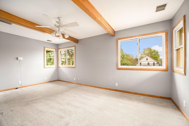 unfurnished room with carpet, baseboards, beam ceiling, and a ceiling fan