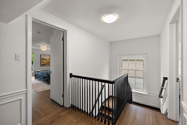 stairs featuring wood finished floors
