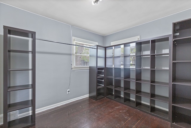 spacious closet featuring wood finished floors