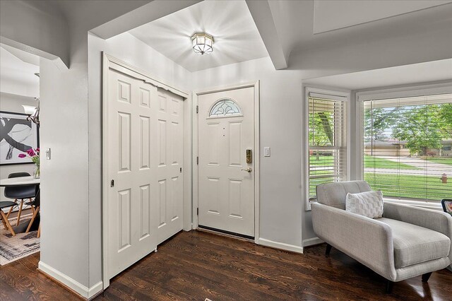 entrance foyer featuring baseboards and dark wood-style floors