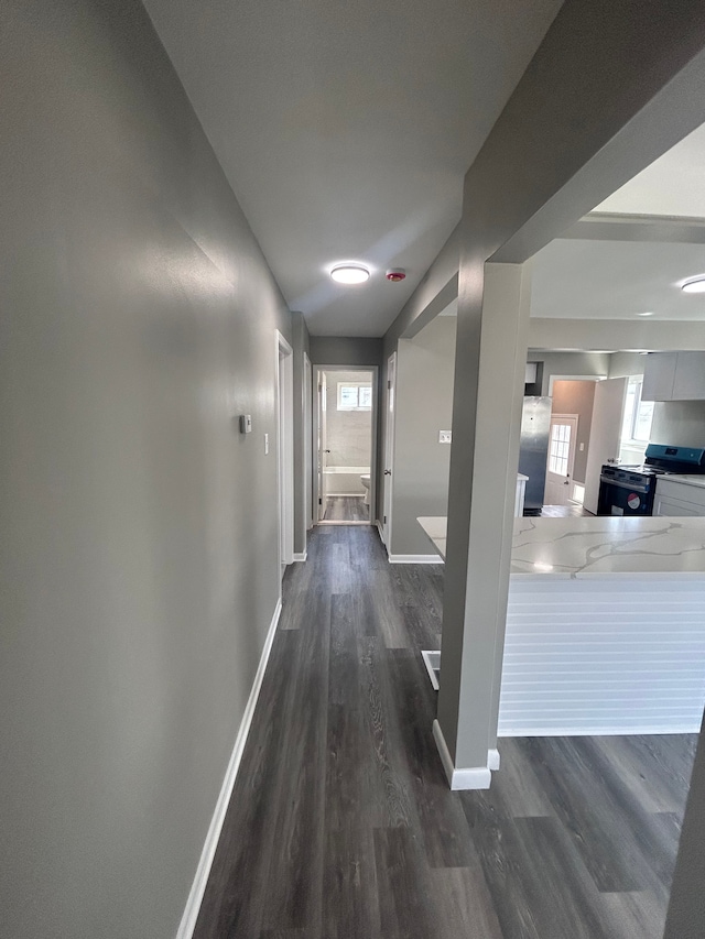 23162 Saxony Ave, Eastpointe, MI 48021 - corridor featuring baseboards, dark wood finished floors, and healthy amount of natural light