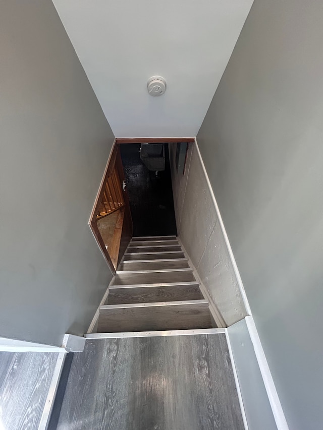 23162 Saxony Ave, Eastpointe, MI 48021 - stairway featuring wood finished floors