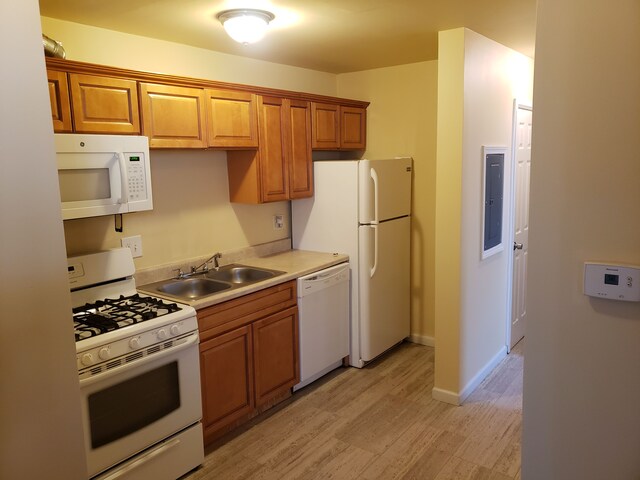 kitchen with white appliances, a sink, light wood-style flooring, light countertops, and brown cabinets