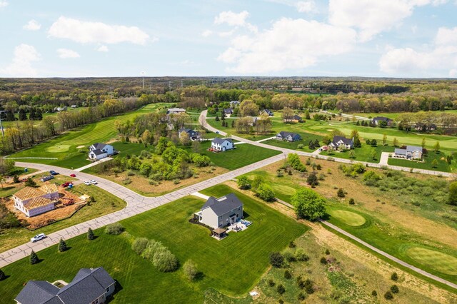 bird's eye view of a tree filled landscape