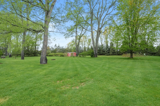 view of grassy yard featuring a shed and an outdoor structure