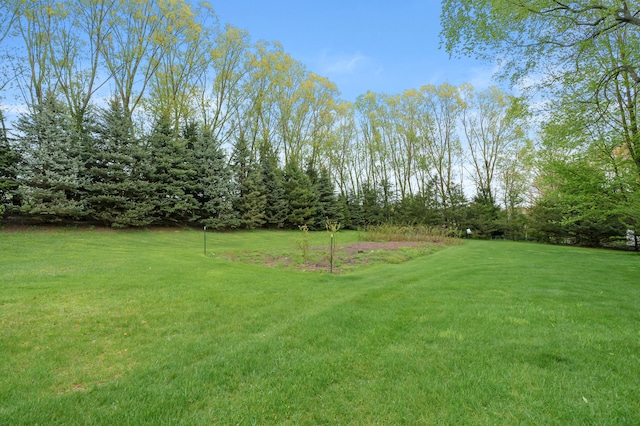 view of grassy yard