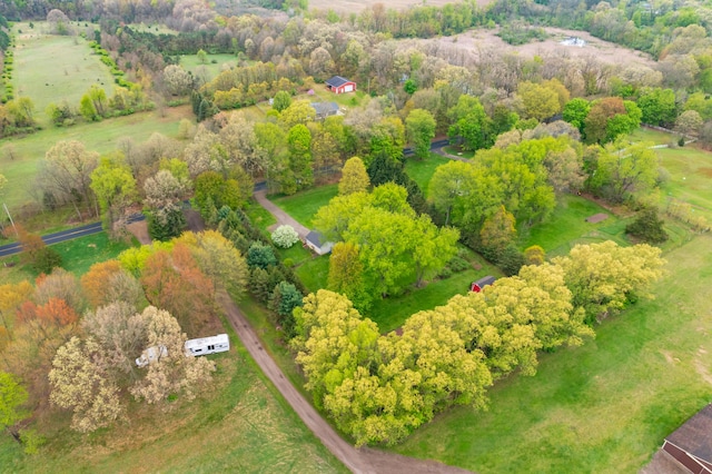 bird's eye view