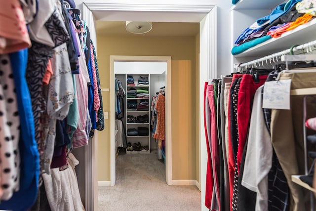 spacious closet with carpet floors
