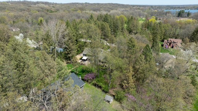 drone / aerial view of a forest