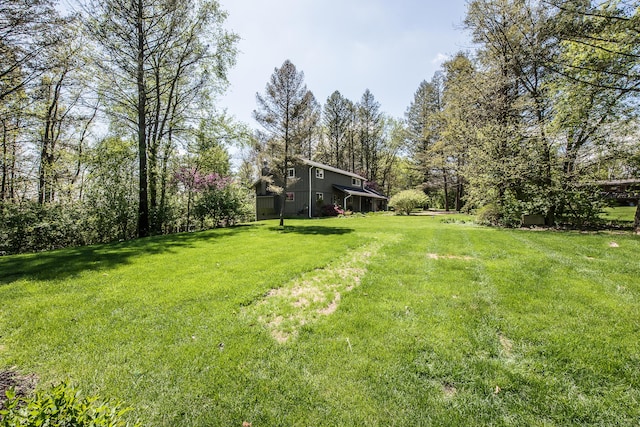view of grassy yard