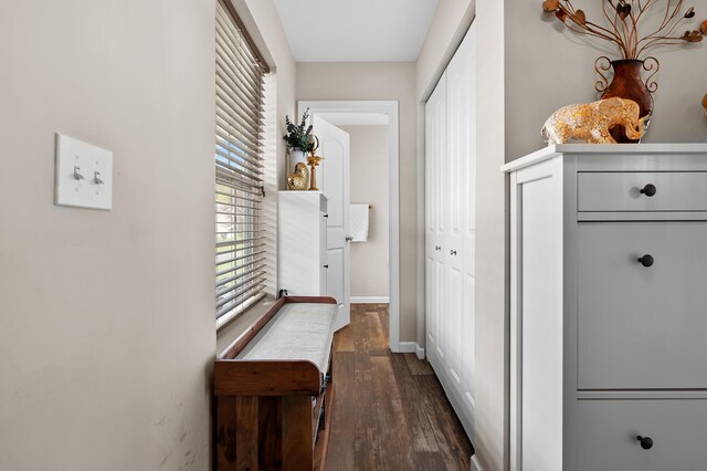 72597 Faye Ct, South Haven, MI 49090 - hall featuring dark wood-style flooring and baseboards