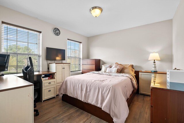 72597 Faye Ct, South Haven, MI 49090 - bedroom with dark wood-type flooring and an office area