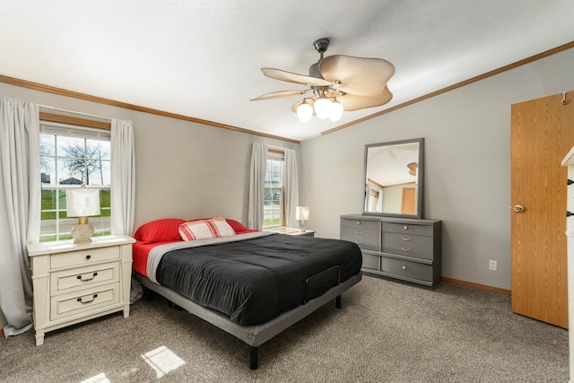 11305 Harold Dr, Luna Pier, MI 48157 - photo 33
