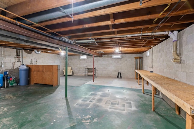 unfinished below grade area with concrete block wall and a water softener system