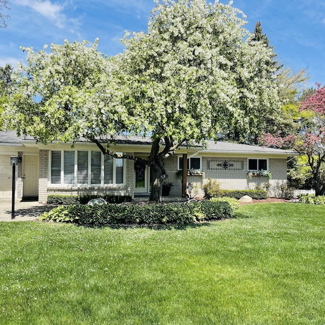 ranch-style house with brick siding and a front yard