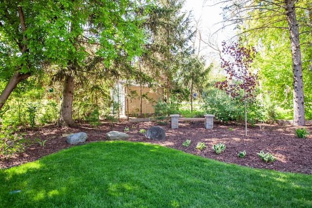 view of grassy yard