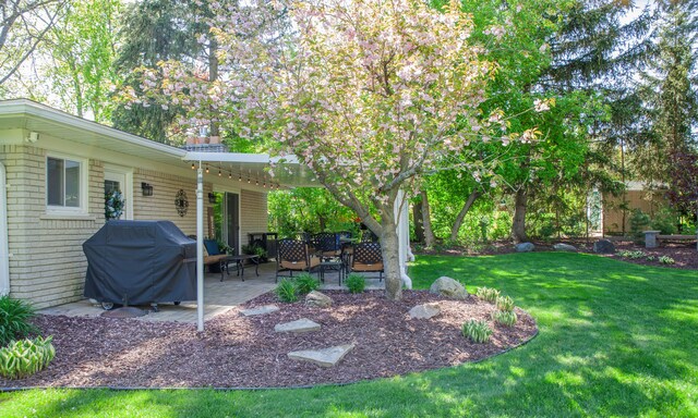 view of green lawn featuring a patio area