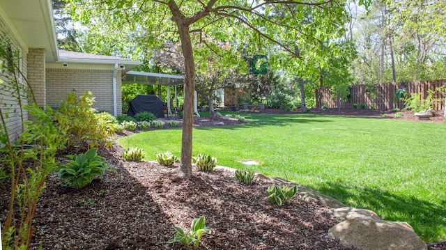 view of yard