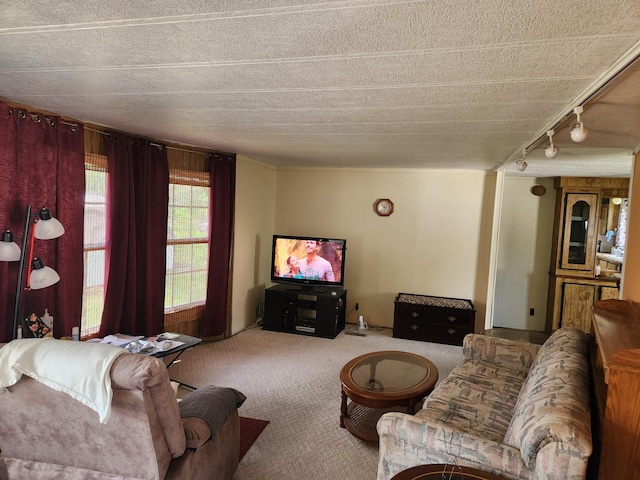 carpeted living area featuring track lighting