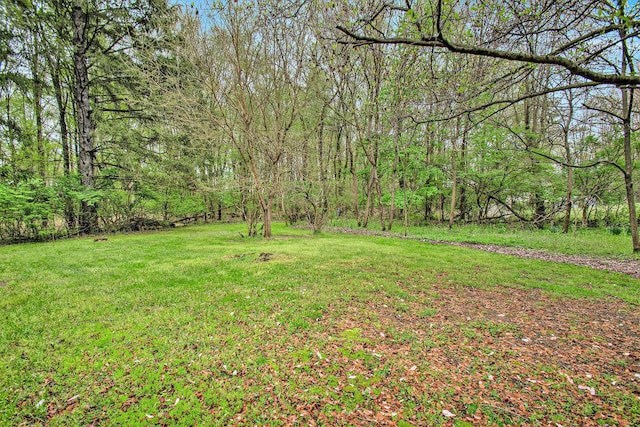 2 Fort St, Niles, MI 49120 - view of green lawn featuring a wooded view