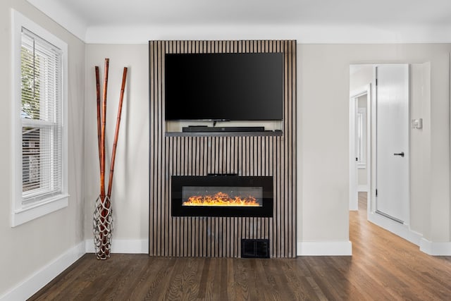 detailed view of wood finished floors, baseboards, and a glass covered fireplace