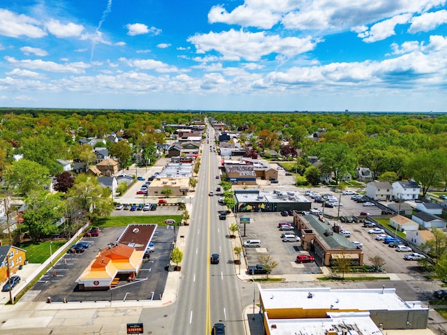 bird's eye view