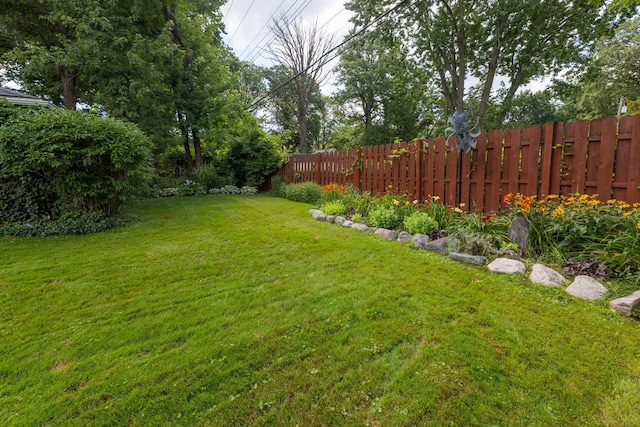 view of yard