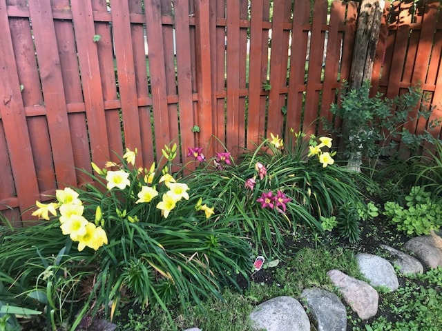 exterior view of fence