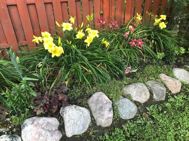 exterior view of fence