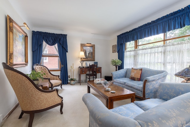 view of carpeted living area