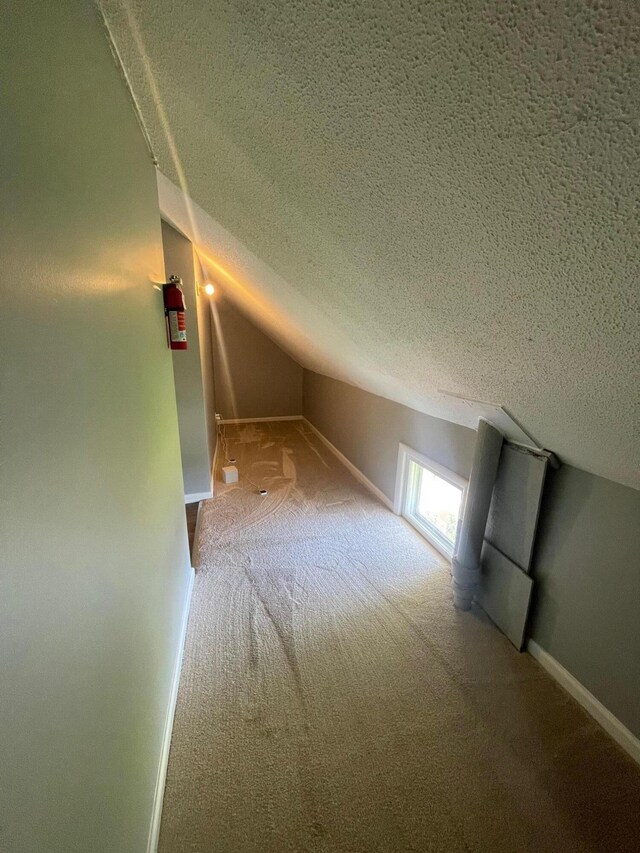 206 Mitchell St, Jackson, MI 49203 - additional living space with carpet flooring, a textured ceiling, lofted ceiling, and baseboards